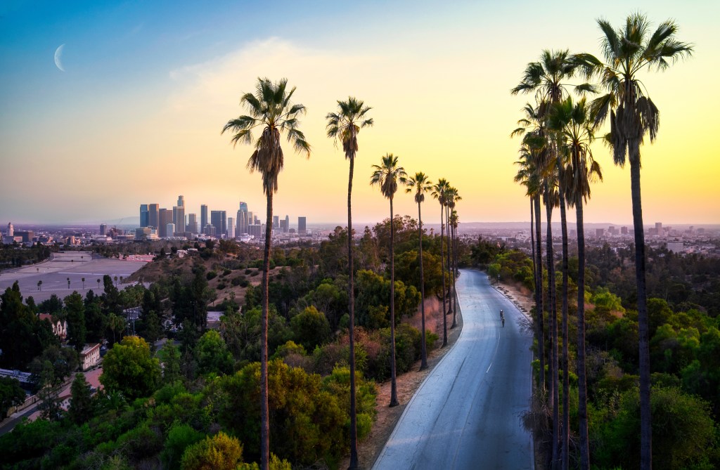 A photo of Los Angeles in the background with a sunrise and towering palm trees in the foreground.