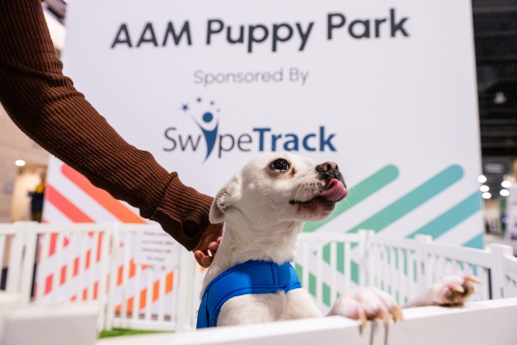 A puppy licking its chops at the AAM Puppy Park